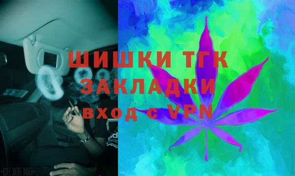 Альфа ПВП Аркадак