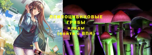 Альфа ПВП Аркадак