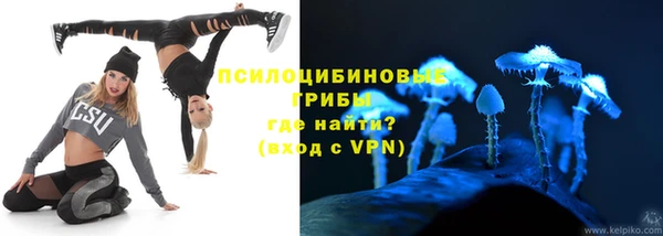 прущие грибы Баксан