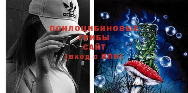 МДПВ Армянск